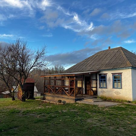 Бабусина Хатка Leplyavo Exterior foto